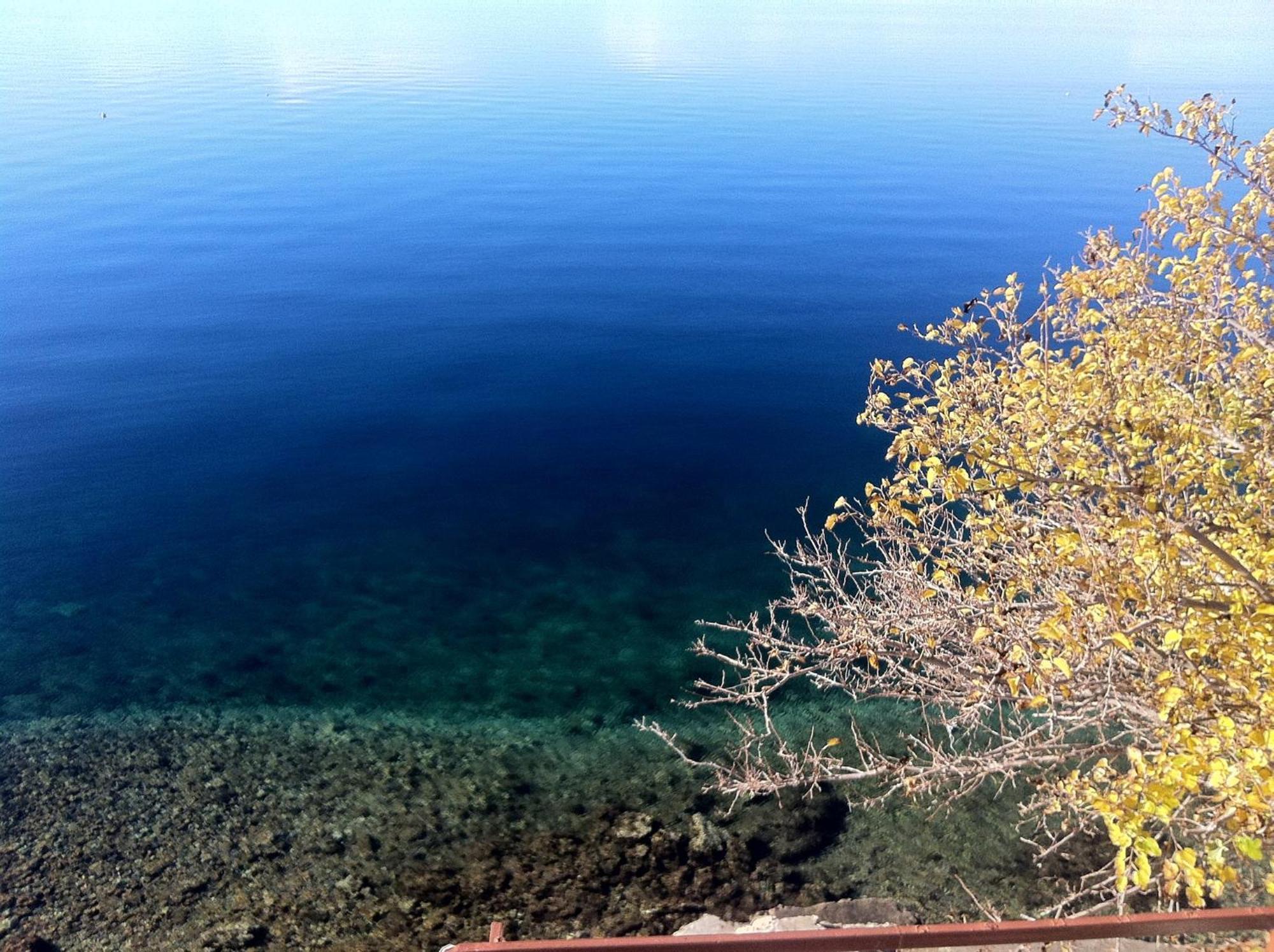 Studio In Baric Draga I المظهر الخارجي الصورة