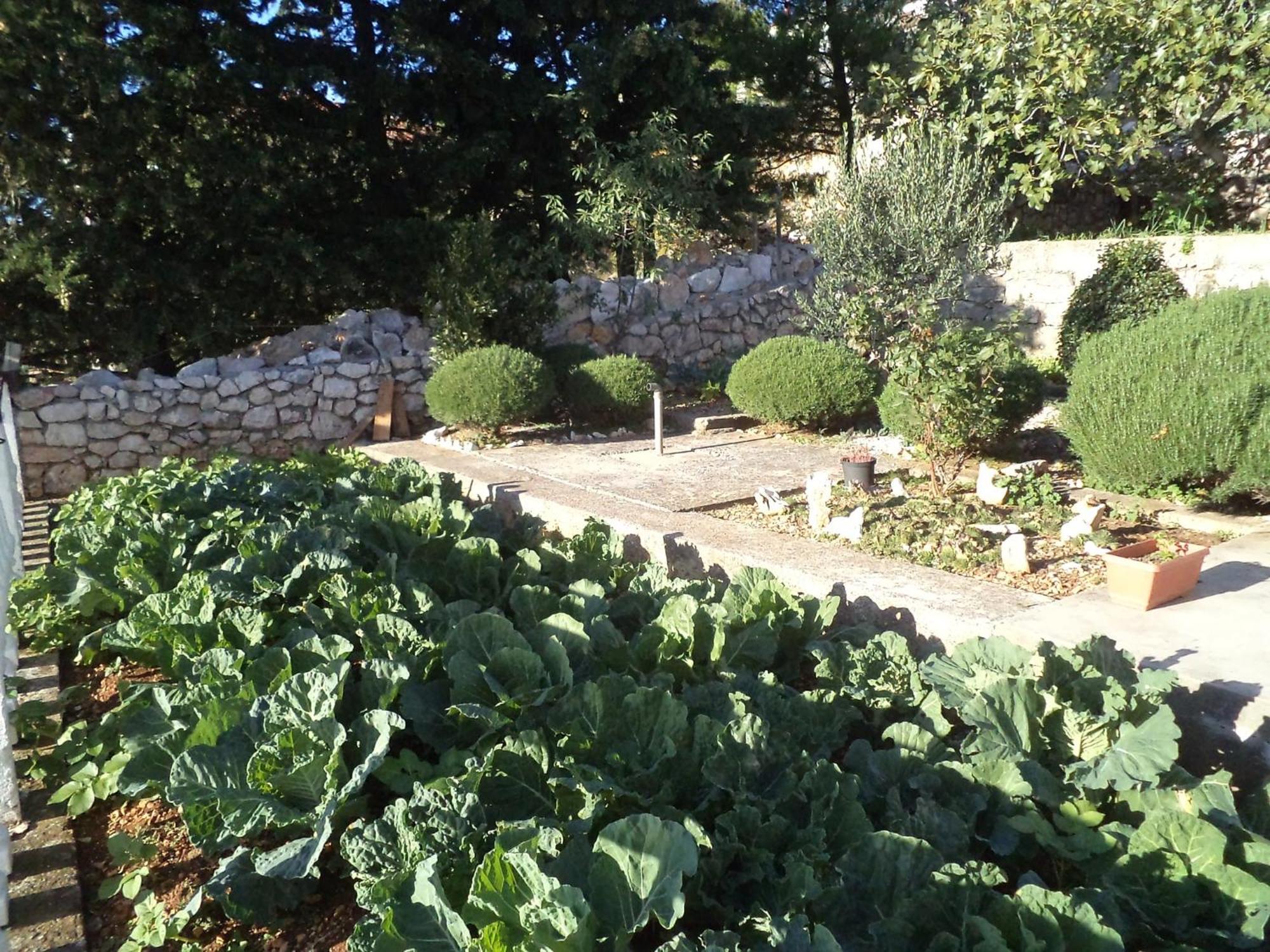 Studio In Baric Draga I المظهر الخارجي الصورة